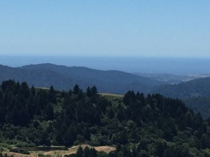 Santa Cruz mountains to the Pacific